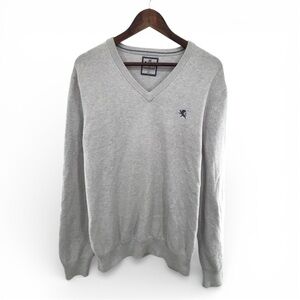 Express Mens Solid Light Grey Neutral Long Sleeve Cotton VNeck Sweater Size L